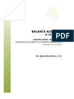 Balance Auditado Agropecuario - Modeo 2013