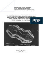 Tesis Doctoral Fases