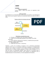 Fisiologia y Bioquimica Vegetal