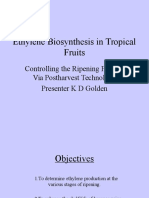 Ethylene Biosynthesis in Tropical Fruits