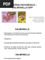 Bactéria Patogénica – Salmonella Spp PDF