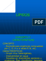 LIPIDOS_