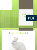 john the rabbit