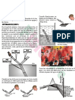 31__OPTIca.pdf