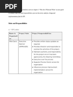 BPI Team Project Roles and Responsibilities Instructions