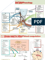 Pharmacology Mind Maps