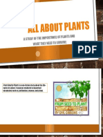All About Plants: A Study of The Importance O F Plants and What They Need To Survive