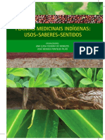 PLANTAS_MEDICINAIS_INDIGENAS.pdf