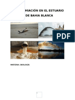 Contamiación en El Estuario de Bahia Blanca I