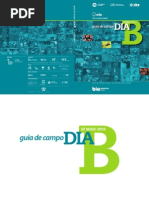 GuiaCampoDiaB