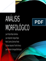 Análisis morfológico.pptx