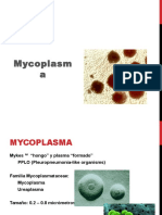 Mycoplasma