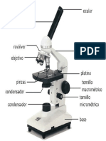 Microscop i o