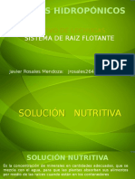 TERCERA PARTE Solucion Nutritiva Cultivos hidropónicos.pptx