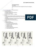 0327 Congenital Anomalies Rutter Congenital Anomalies Tracheoesophageal Fistula and Esophageal Atresia