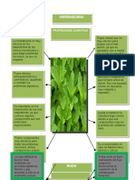 PLANTAS MEDICINALES