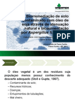 Apresentação de Efluentes Final - Análise de Artigo