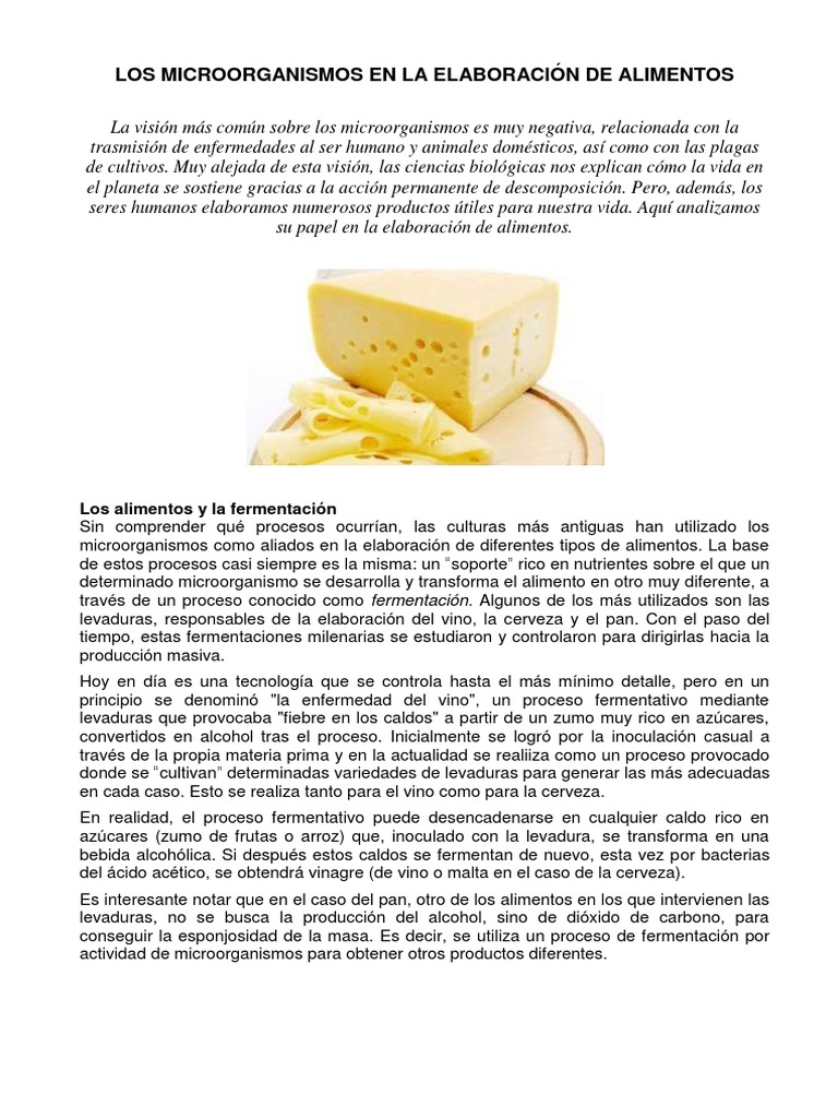 Microorganismos en la elaboración alimentaria | PDF | Levadura | Leche