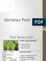 Varietas Padi