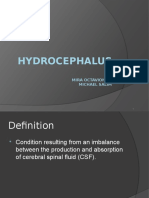 Hydrocephalus: Mira Octavionita Michael Salim