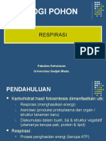 Kuliah 7 (Respirasi) D3