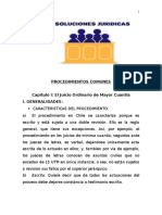 Derecho Procesal I