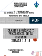 Cambios Biofisicos y Psicologicos 2