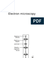 Fluoroscence and Electron Micros