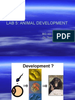 Lab 5 Development