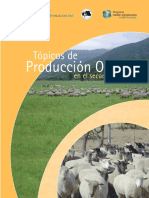 CorderoSecanoCentral PDF