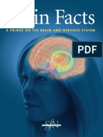 4. Brain-Facts -Society for Neuroscience.pdf