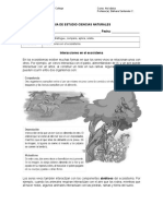 Guia Ciencias Interacciones en El Ecosistema