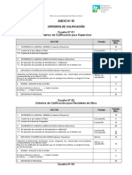 Anexo 05 - Criterios de Calificación (Ok)