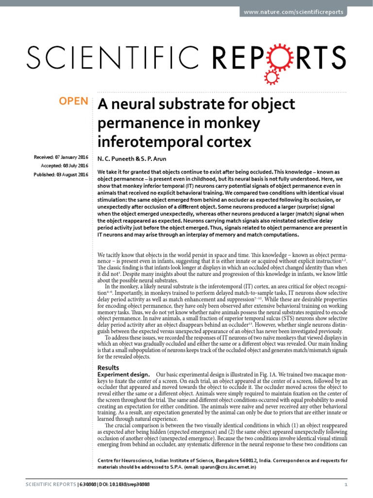 Neuronal Correlates of Object Permanence in The Monkey Inferior ...