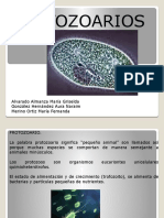 Protozoarios