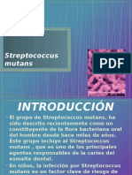 Streptococcus Mutans
