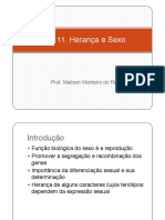 Aula 11 Herança Sexo