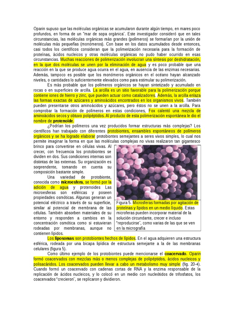 Protobiontes: Origen y características | PDF | Bicapa lipídica | Polímeros