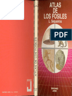 geolibrospdf-Atlas-de-Los-Fosiles.pdf