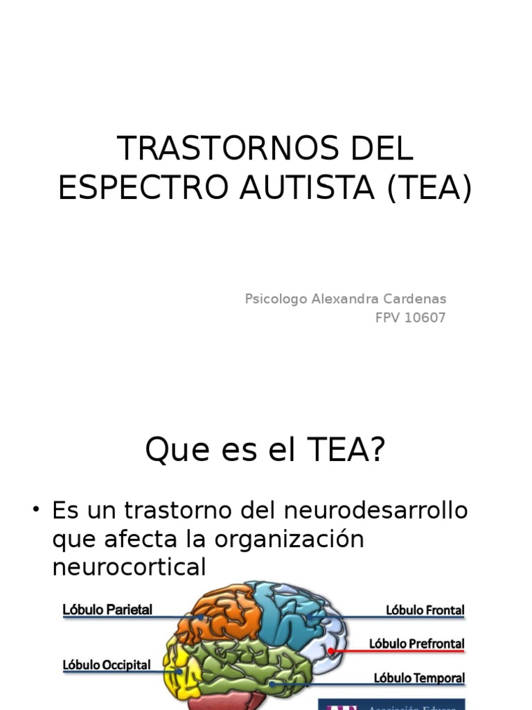Características y Tipos del TEA | PDF | Autismo | Espectro autista