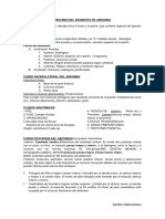 RESUMEN DEL SEGMENTO DE ABDOMEN.pdf