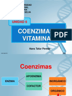 Coenzimas y Vitaminas