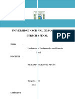 Separata 2 - Principios Fundamentales Del Derecho Penal