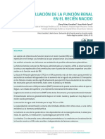 Función renal del recién nacido .pdf