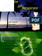 Fotosintesis & Respirasi