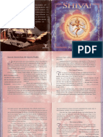 CD Shiva Original Information.pdf