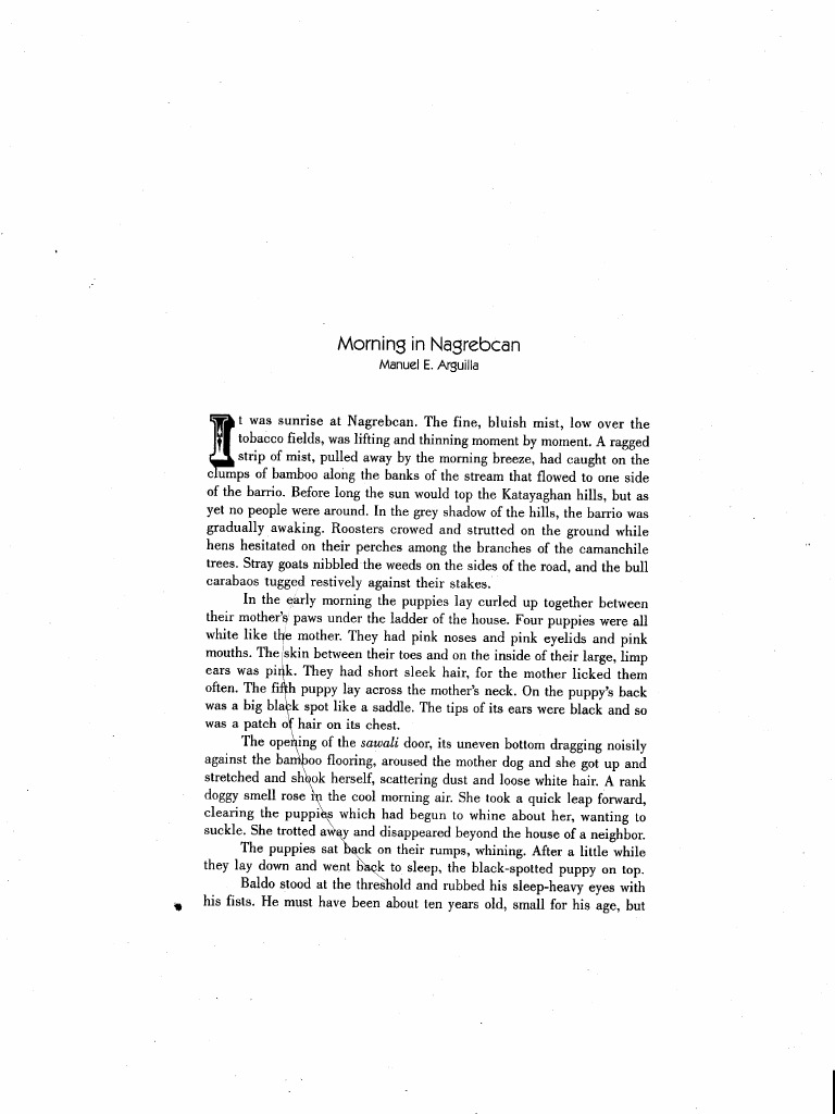 Morning in Nagrebcan Manuel E. Arguilla Nature