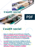 Audit Social PDF