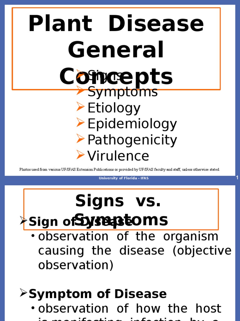 Understanding Plant Disease Symptoms | PDF | Plant Pathology | Stoma