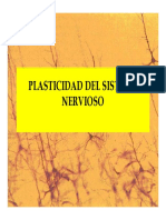 Neuroplasticidad PDF